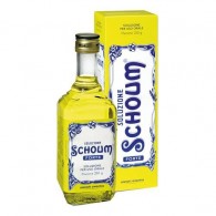 SOLUZIONE SCHOUM - FORTE SOLUZIONE ORALE FLACONE 250 G