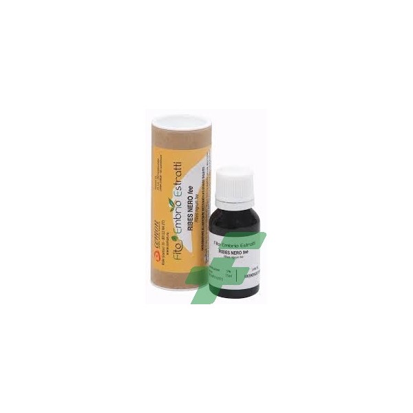 FEE RIBES NERO 15 ML