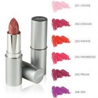 DEFENCE COLOR BIONIKE ROSSETTO SEMITRASPARENTE LIPSHINE 205 PRUNE