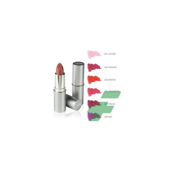 DEFENCE COLOR BIONIKE ROSSETTO SEMITRASPARENTE LIPSHINE 205 PRUNE