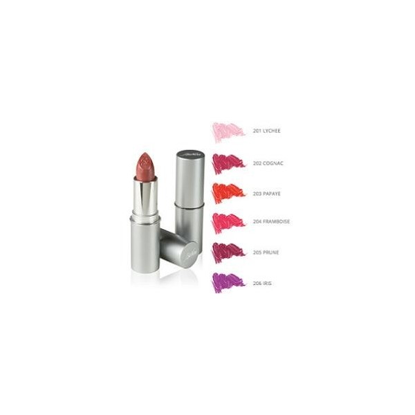 DEFENCE COLOR BIONIKE ROSSETTO SEMITRASPARENTE LIPSHINE 205 PRUNE