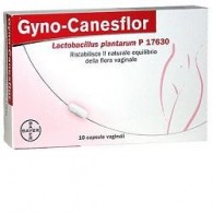 GYNOCANESFLOR 10 CAPSULE VAGINALI