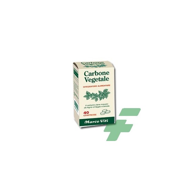 Carbone Vegetale Polvere 100 Gr: acquista online in offerta Carbone  Vegetale Polvere 100 Gr