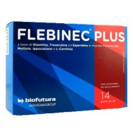 FLEBINEC PLUS 14 BUSTINE 4 G