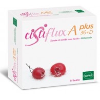 CISTIFLUX A PLUS 36 + D BUSTINA