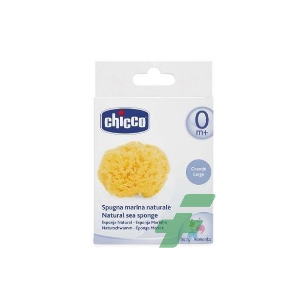 CHICCO SPUGNA MEDIA IGIENE SICURA