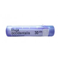 THUYA OCCIDENTALIS 30CH GRANULI - 1