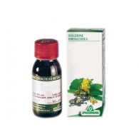 GINKGO BILOBA 64 50 ML TINTURA MADRE - 1