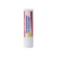 DERMOPLASMINE STICK LABBRA...